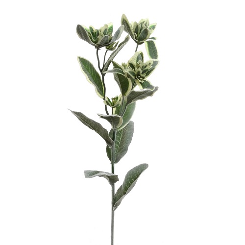 Euphorbia Spray - Artificial floral - artificial variegated euphorbia